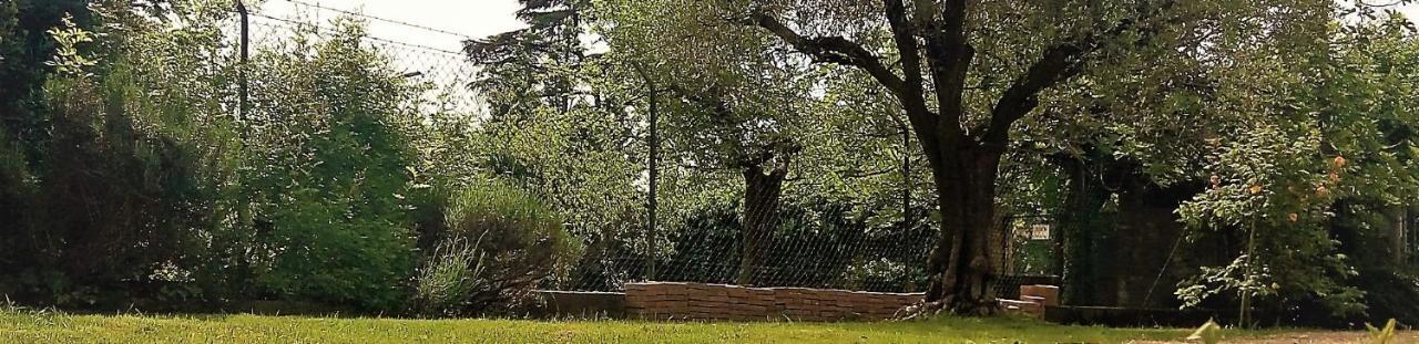 La Porta Stretta Guest house Padova