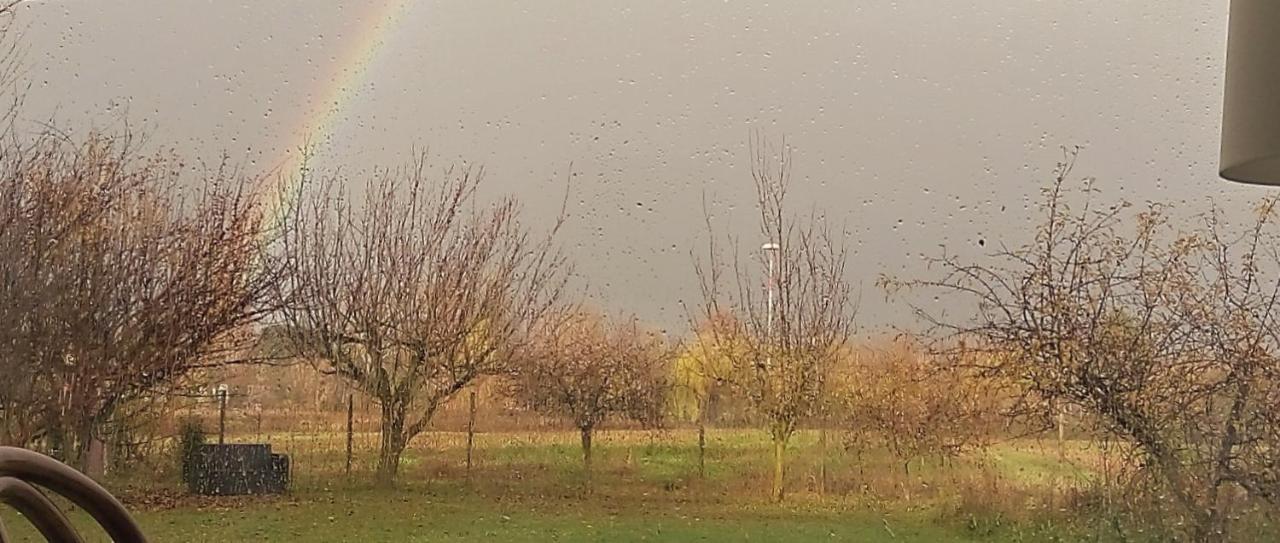 Affittacamere La Porta Stretta Padova